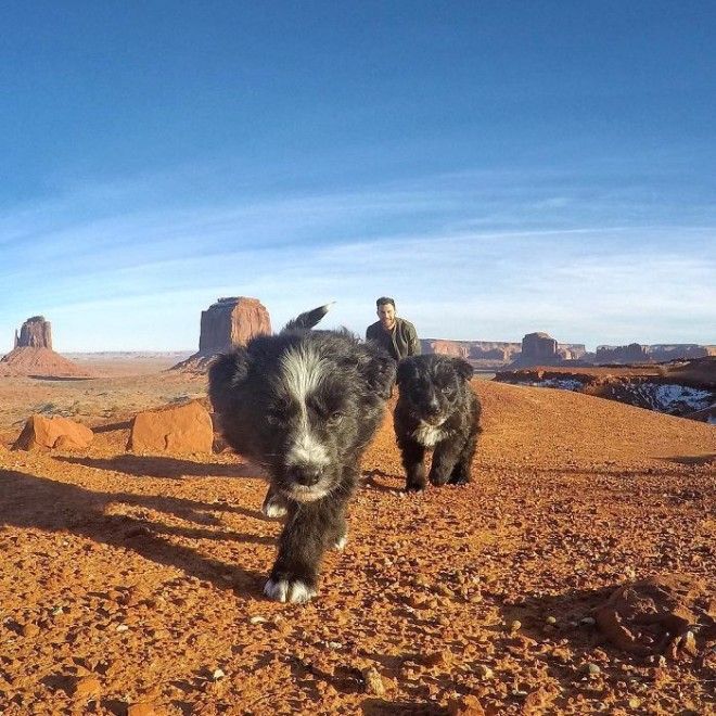 Travel-With-Two-Homeless-Dogs-Jordan-Kahana