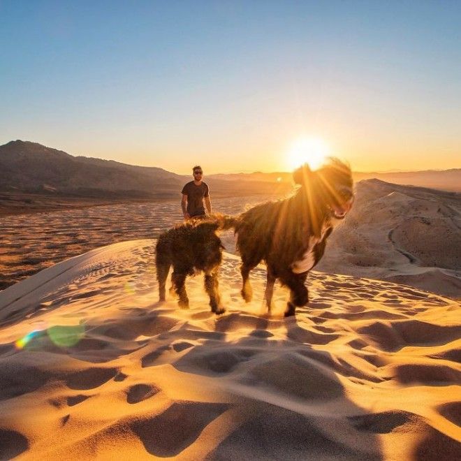 Travel-With-Two-Homeless-Dogs-Jordan-Kahana