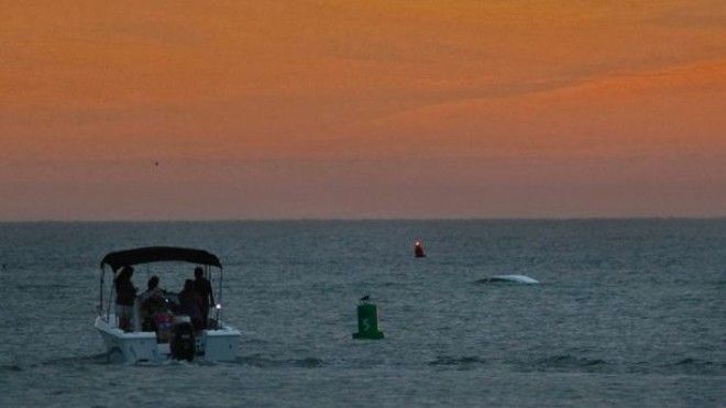 February 8, 2018 - Madiera Beach, Florida, U.S. - JIM DAMASKE | Times.Boaters head out John's Pass as Tanner Broadwell and Nikki Walsh's sailboat is barely visible as it lays sunken in the pass Thursday evening 2/8/2018. - Tanner Broadwell, 26, and Nikki Walsh, 24, sold everything they had in Colorado, bought an old sailboat and set out to sail around the Caribbean with their 2-year-old Pug, Remy. But their trip was cut short on Wednesday night when motoring their boat named Lagniappe into John's Pass, they struck something underwater that tore their boat's keel off and caused it to sink about 20 minutes later. They and their dog were rescued, but are now stranded in Madeira Beach with one cell phone some of her clothes and some dog food. (Credit Image: Â© Jim Damaske/Tampa Bay Times via ZUMA Wire)