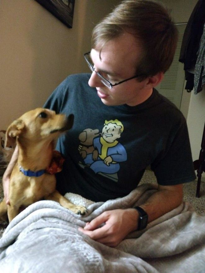 My Dog And I Match The Fallout Shirt Im Wearing