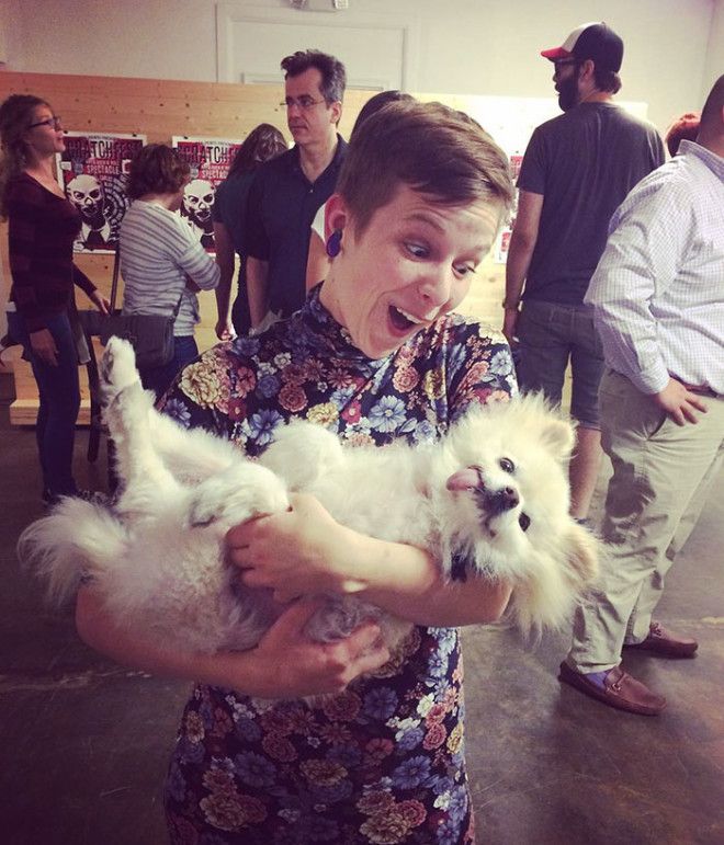 This Hilarious Dog Breed Guide Will Help You Choose Your Next Dog