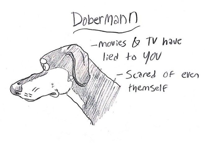 This Hilarious Dog Breed Guide Will Help You Choose Your Next Dog