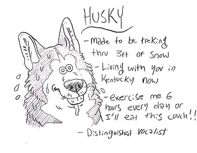 This Hilarious Dog Breed Guide Will Help You Choose Your Next Dog