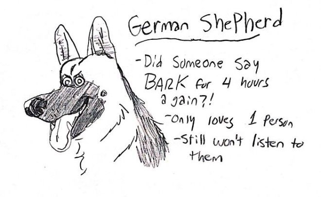 This Hilarious Dog Breed Guide Will Help You Choose Your Next Dog