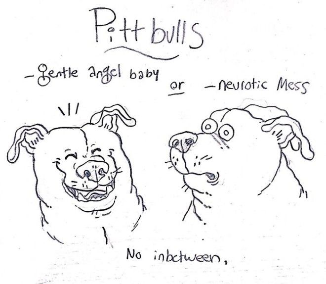 This Hilarious Dog Breed Guide Will Help You Choose Your Next Dog