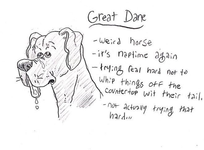 This Hilarious Dog Breed Guide Will Help You Choose Your Next Dog