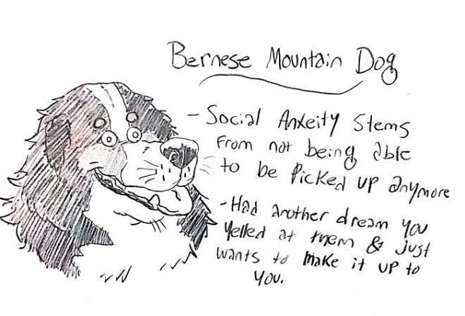 This Hilarious Dog Breed Guide Will Help You Choose Your Next Dog