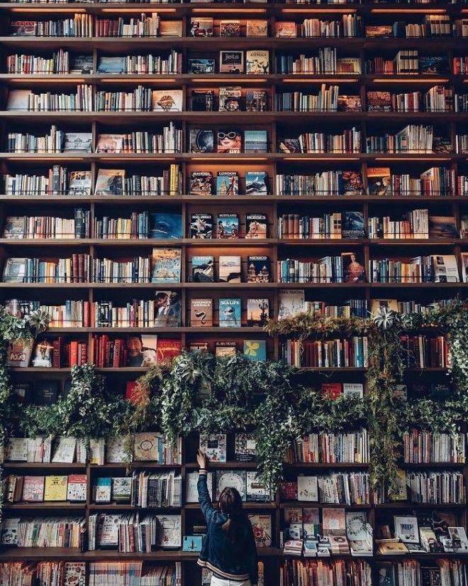 A Bookshelf Like A Wall