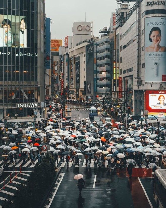 Rainy Day In Tokyo