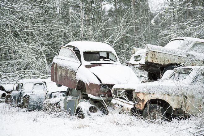 A car graveyard, Sweden. 