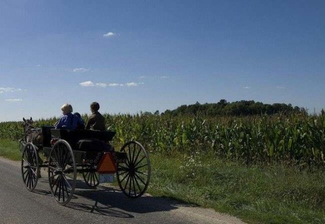 These Amish People Will Probab is listed or ranked 5 on the list Rare Genetic Features That You Probably Dont Have