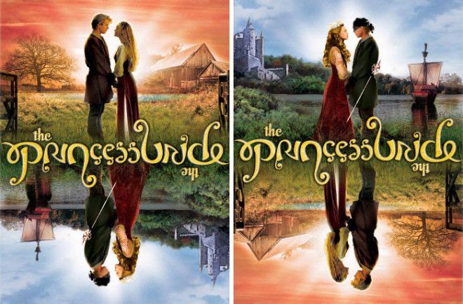 The Cover Of The Princess Bride 20th Anniversary Edition Dvd Can Be Read Upside Down As Well As Right Side Up