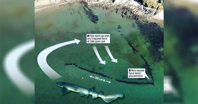 The giant fish trap, built during the Norman Conquest and designed to trap fish behind rock walls, was spotted on Google Earth