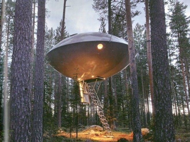 10 Outrageous Tree Houses Youll Want in Your Backyard