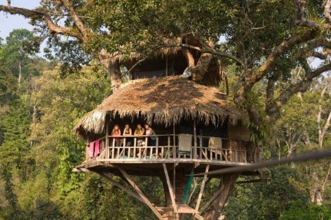10 Outrageous Tree Houses Youll Want in Your Backyard