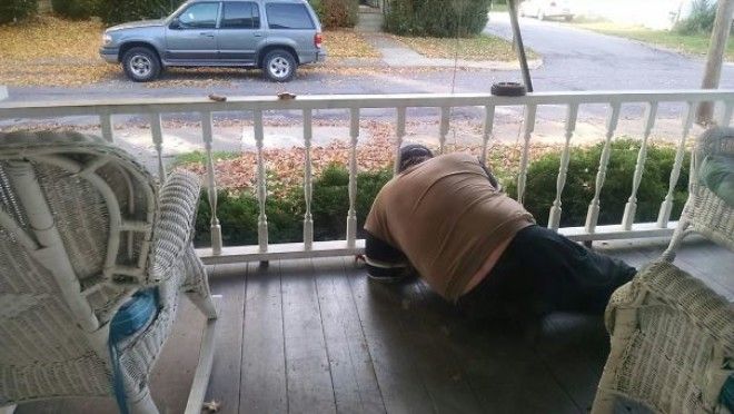 He Got His Head Stuck In The Porch Yesterday Whilst Trying To Feed A Dead Bee To A Spider That Lives In The Bushes