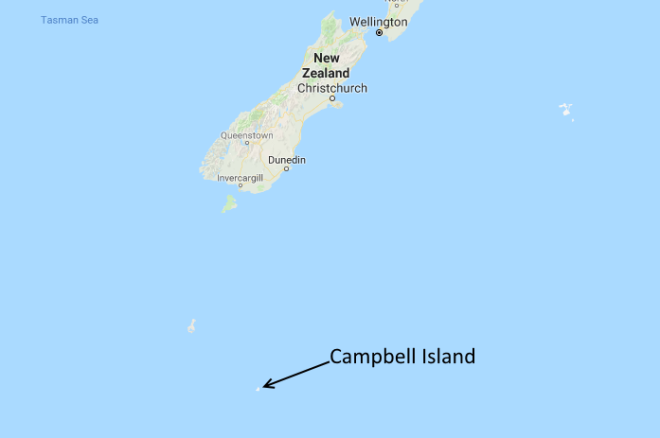 campbell-island