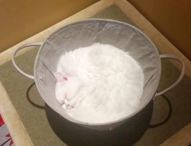 A Bowl Of Flour