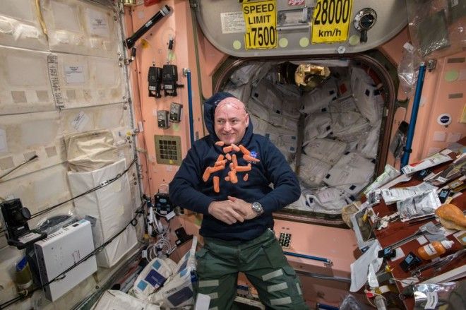 Astronauts Gene Expression No Longer the Same as His Identical Twin