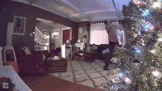 Trying To Impress My Wife With New Overpriced Smart Bulbs Forgot Our Security Cam Was Recording