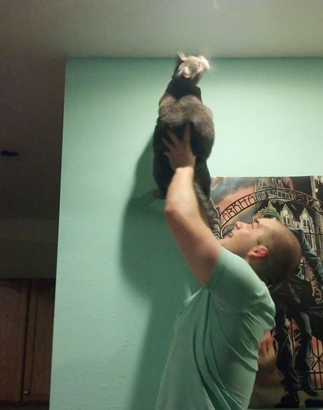 This Is How My Boyfriend And His Cat Catch Bugs Together