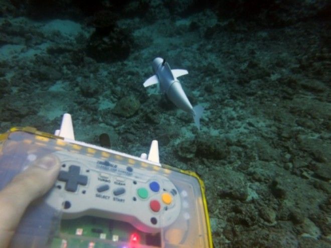 New Robotic Fish Could Change How Researchers Study Sea Life