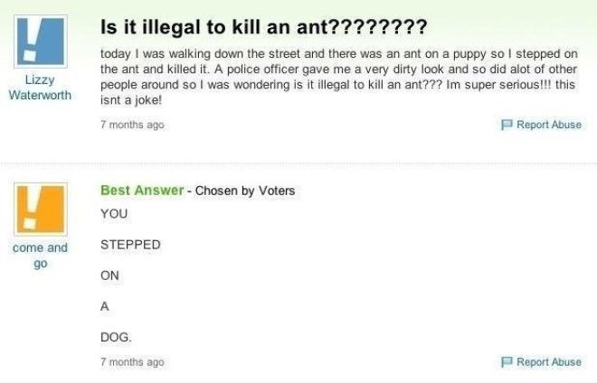 24 Yahoo Answers Questions That Will Make You Question Peoples 