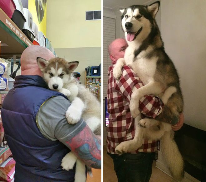 A Year On He Still Just Wants To Be Carried Sometimes