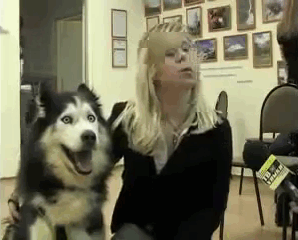 This Huskys First Time On TV