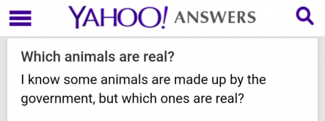 24 Yahoo Answers Questions That Will Make You Question Peoples 