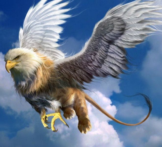 #7. The Griffin