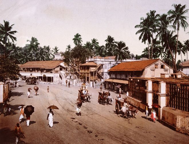 Palm trees rise behind the balconied buildings on Girgaum Road.