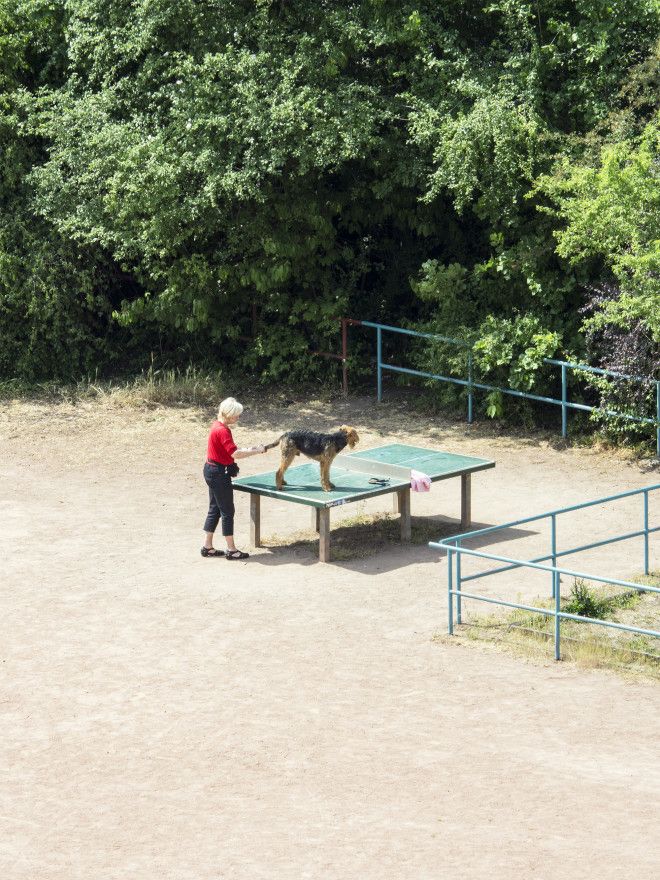 The Diverse Daily Life of a Ping Pong Table in Germany