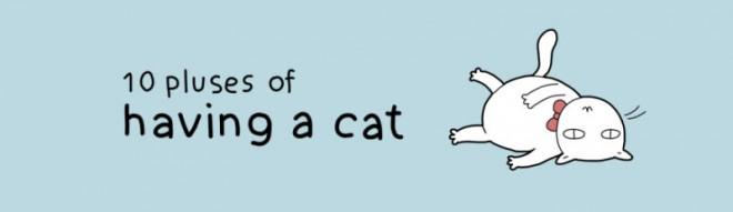Illustrated guide to the advantages of having a cat