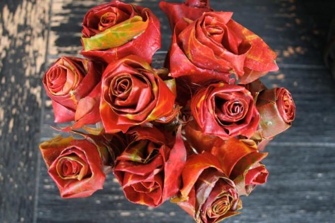 Wonderful rose buds full of life and colors