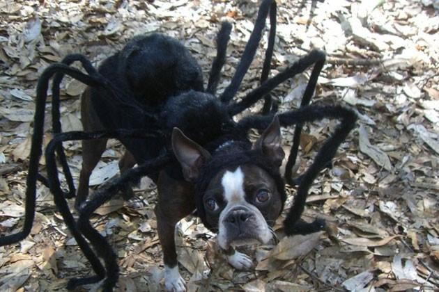 They are scarily cute!