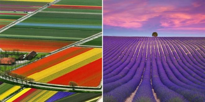 Incredible, riotous combinations of colours