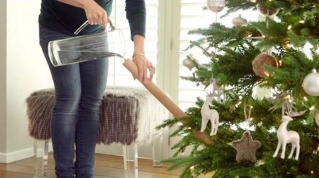 Stellar holiday tips
