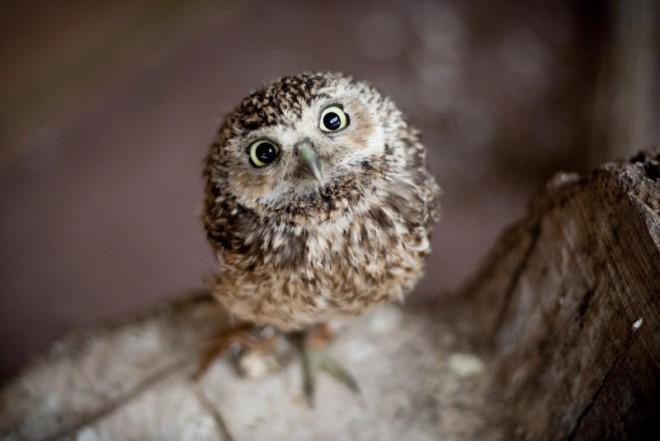 Pure cuteness!