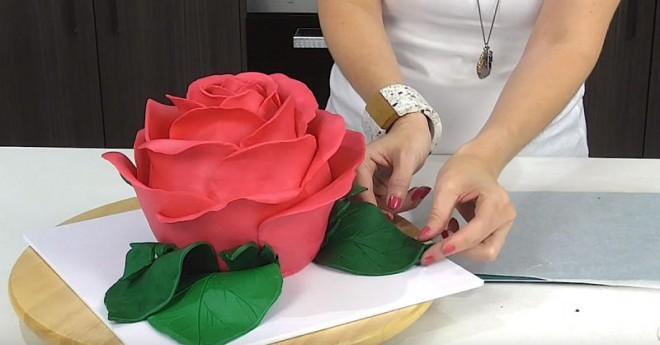 CAKE STYLE