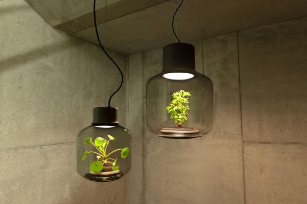 Hard-to-maintain nature?