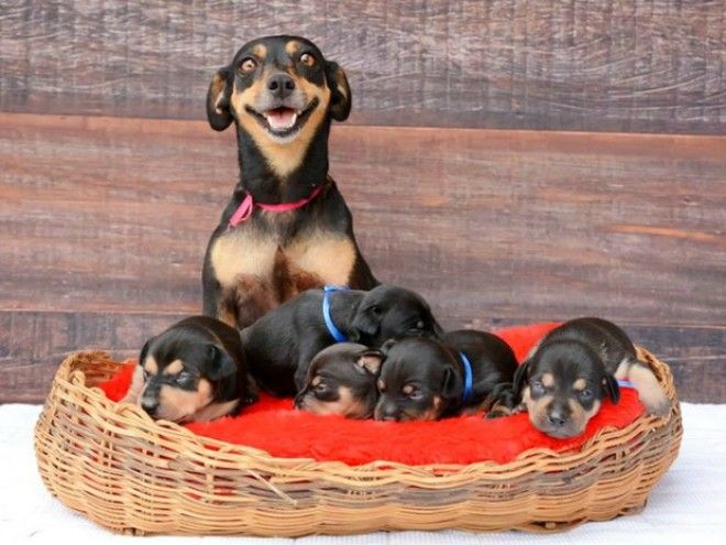 Cuteness inspiring model