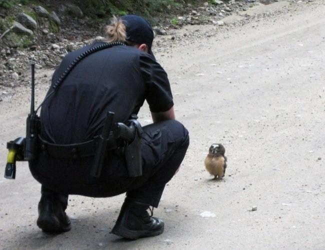 Perfect timing of images
