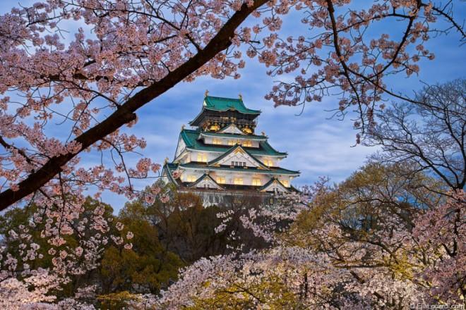 Bit of the Japanese pink lavishness