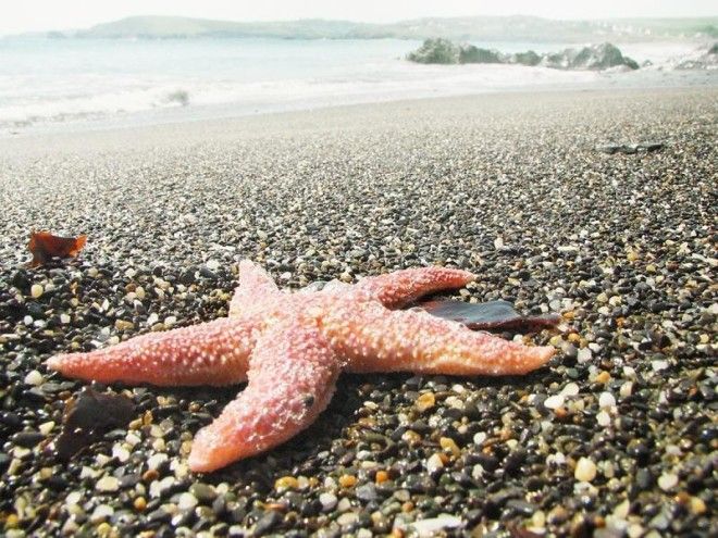 Wonderful sceneries of South West Ireland