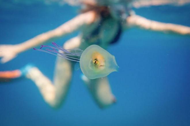 Captured In A One In A Million Shot