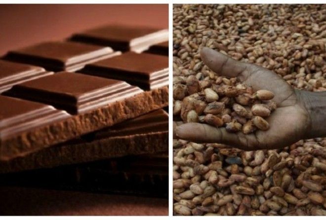What is life without chocolate?