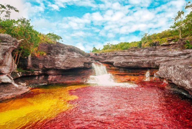 Caño Cristales has been called by many as the most beautiful river in the world.