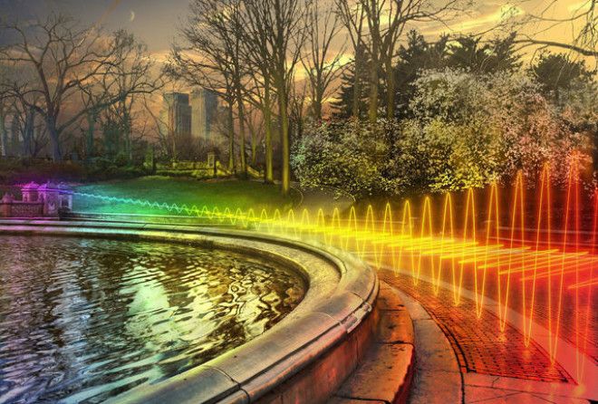 The Amazing Beauty of Science