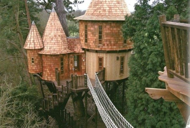 Have you ever wanted to build an amazing tree house?